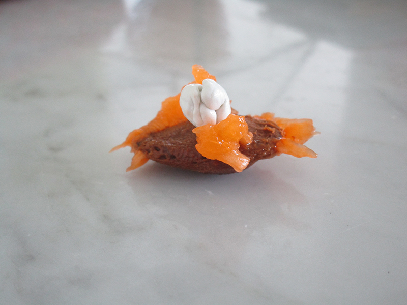 Aprikosenfisch