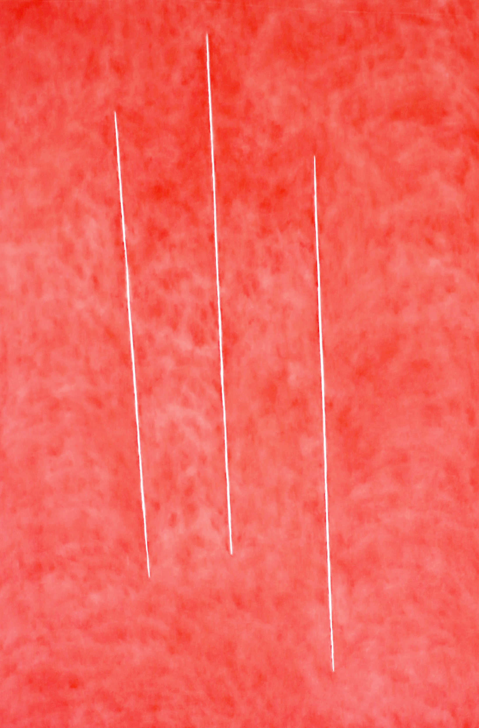 Website_4