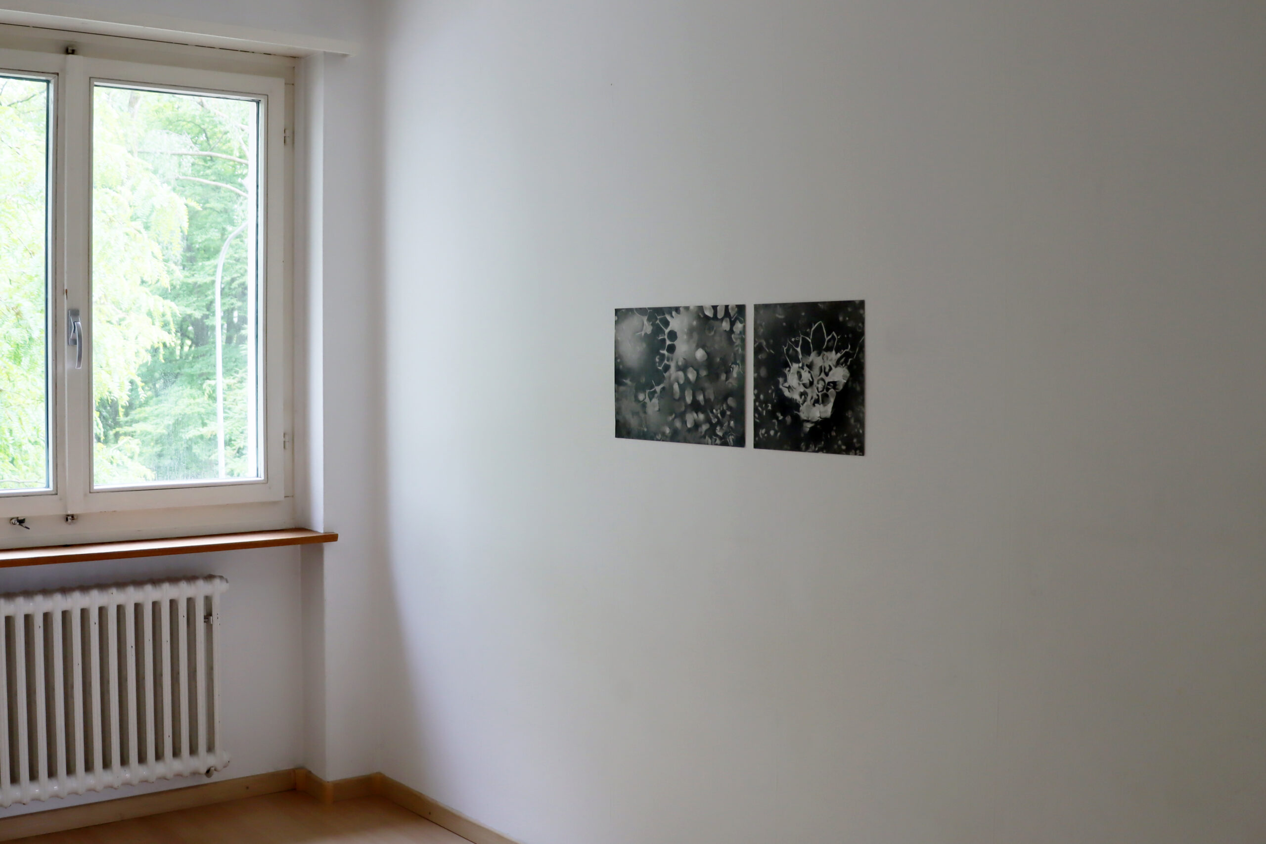 Zimmer_Gilles_7
