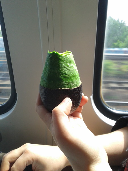 avocado