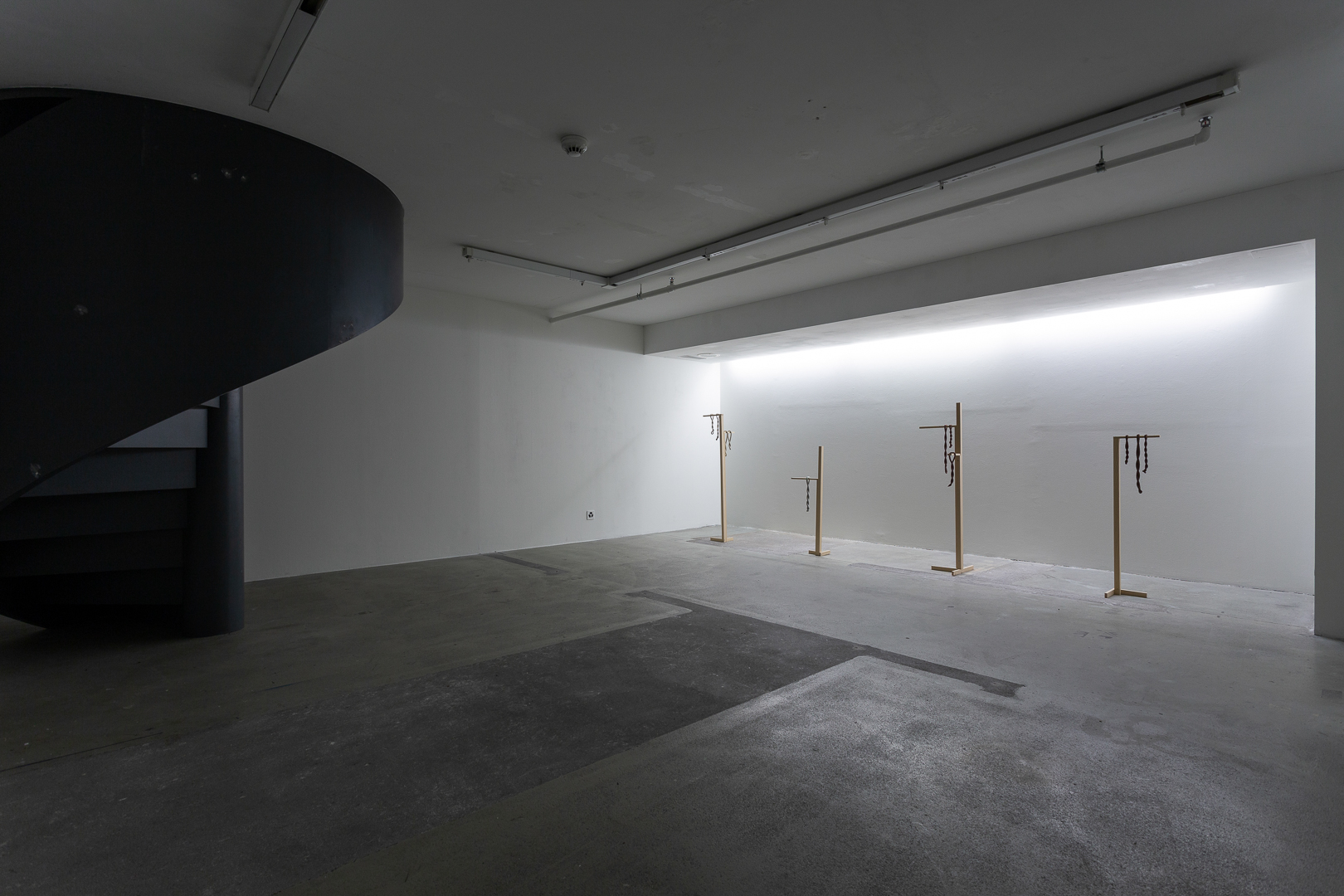 20190609-Affentranger–Braun–Stalder-Web-47
