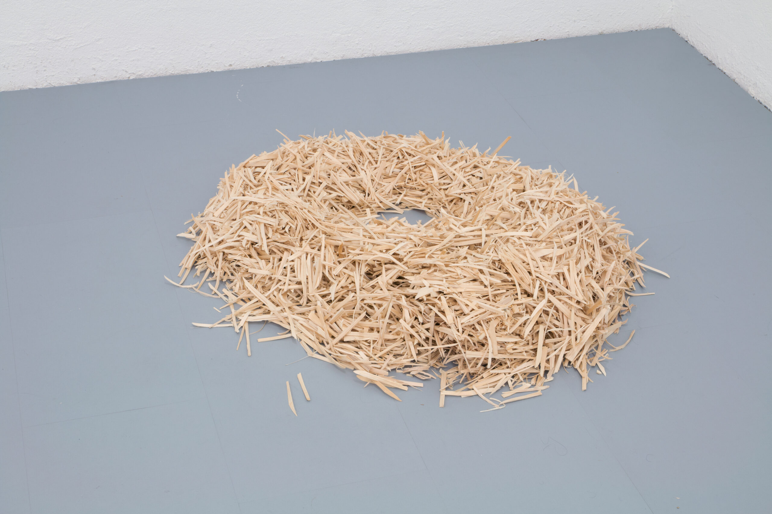 Nest_1